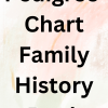 Pedigree Chart Family History Book